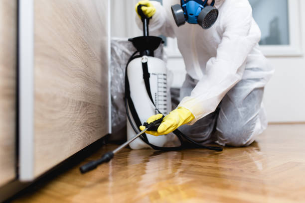 Best Pest Control Near Me in Mountain View, AR