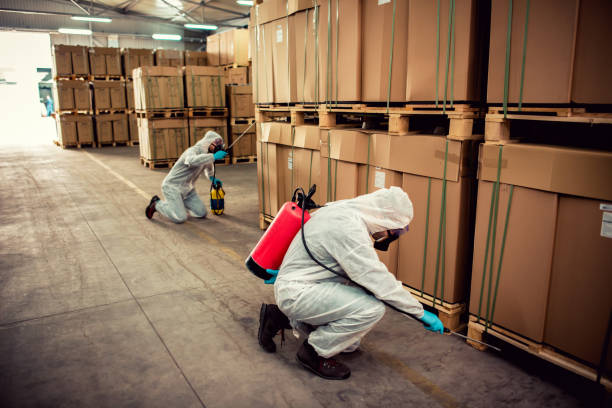 Best Pest Control Near Me  in Mountain View, AR