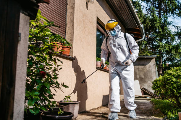 Best Insect Control  in Mountain View, AR