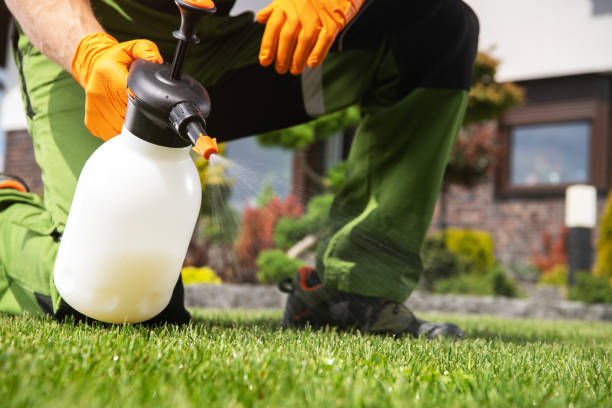 Best Bed Bug Extermination  in Mountain View, AR